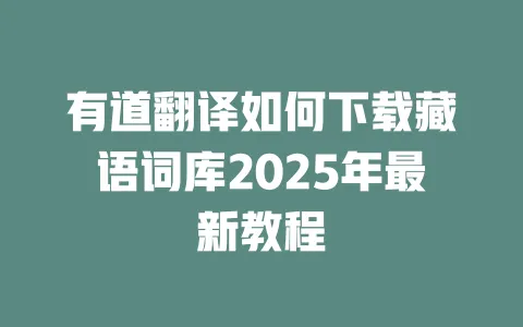 有道翻译如何下载藏语词库2025年最新教程 一