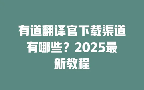 有道翻译官下载渠道有哪些?2025最新教程 一